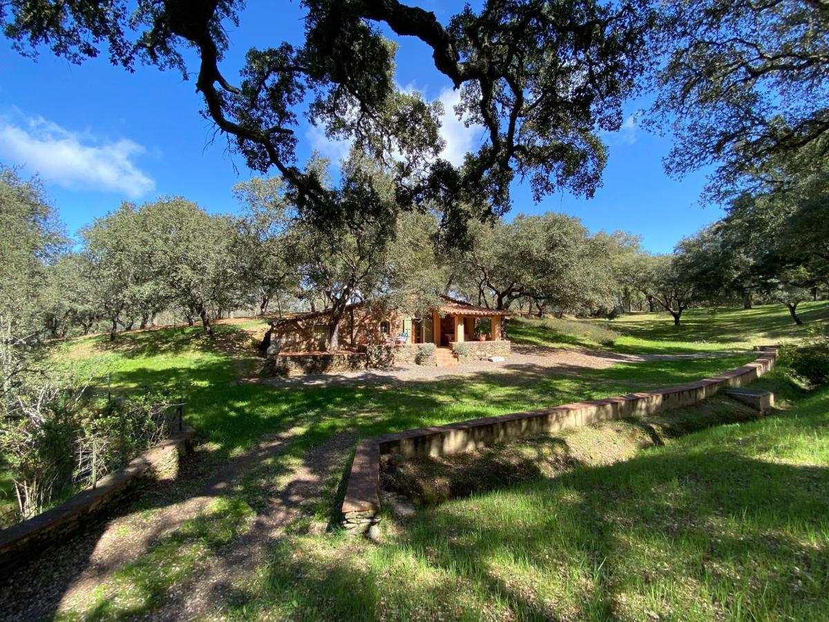 Valle Del Arroyo Casas Rurales - B&B - Solo Adultos Кортеласор Экстерьер фото