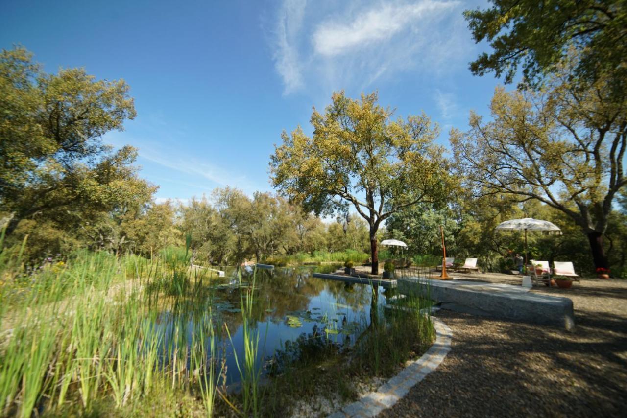 Valle Del Arroyo Casas Rurales - B&B - Solo Adultos Кортеласор Экстерьер фото